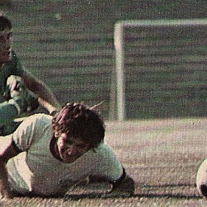 Fudbalsko prvenstvo 1973-74