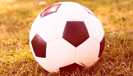 Pronađite pečalbara (8)